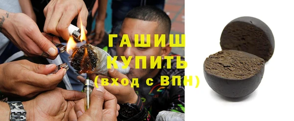 гашик Алексин
