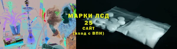 гашик Алексин