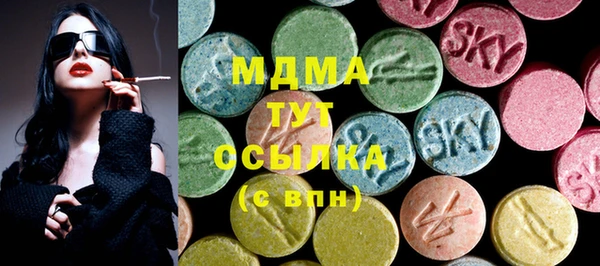 гашик Алексин