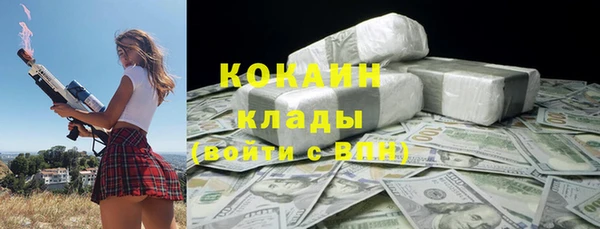 гашик Алексин