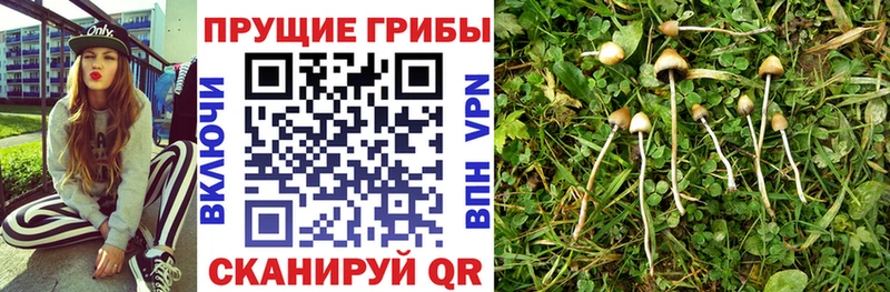 Галлюциногенные грибы ЛСД  хочу   Златоуст 